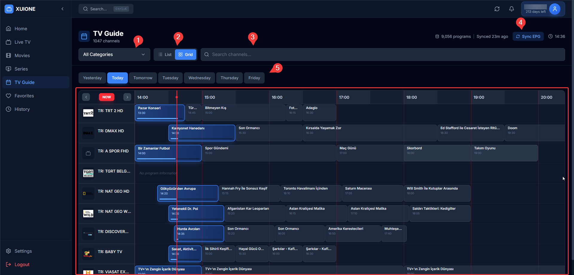 EPG Grid View